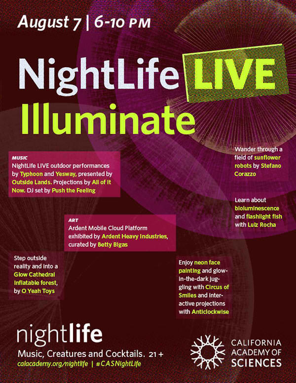 CODAME @ NightLife LIVE Illuminate