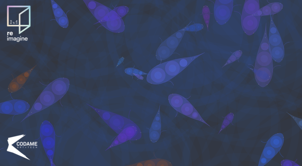 Data Meditations: An Abstract Koi Pond